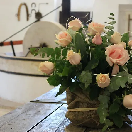 Masseria Gianecchia チステルニーノ