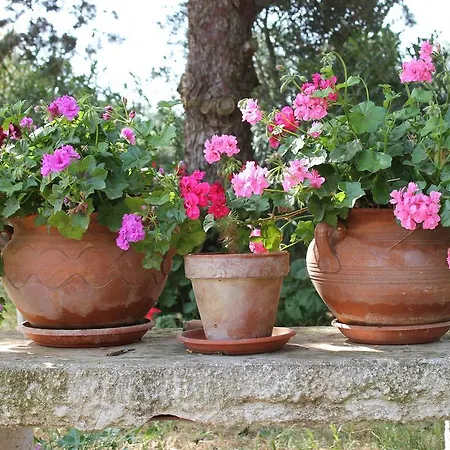 Masseria Gianecchia *