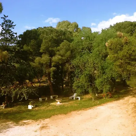 ファームステイ Masseria Gianecchia *