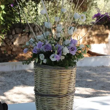 Masseria Gianecchia * チステルニーノ