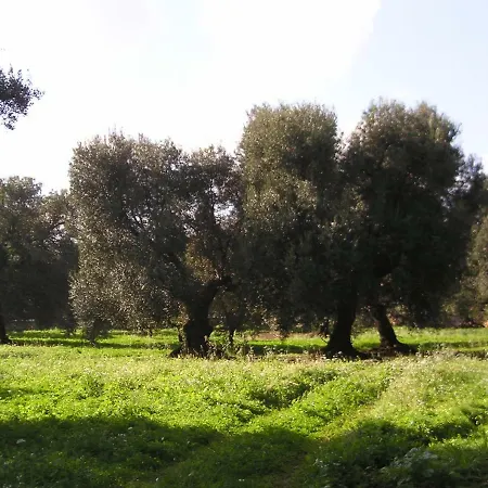 Masseria Gianecchia *