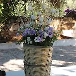 Masseria Gianecchia * צ'יסטרנינו