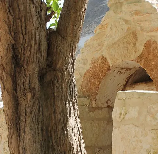 팜스테이 Masseria Gianecchia *