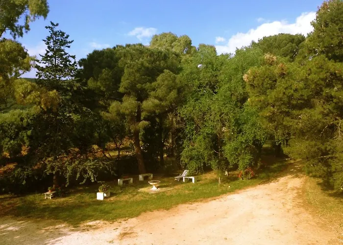 Farma Masseria Gianecchia *