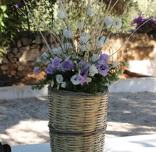Masseria Gianecchia * تْشيستيرنِنو